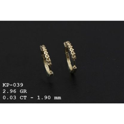 Picture of KP039