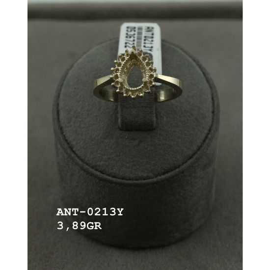 Picture of ANT0213Y