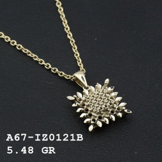 Picture of A67IZ0121B