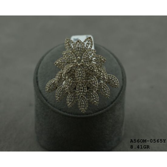 Picture of A56OM0565Y
