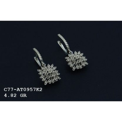 Picture of C77AT0957K2