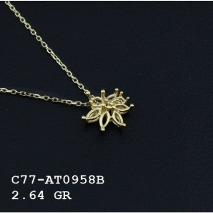Picture of C77AT0958B