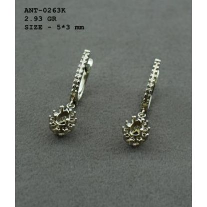 Picture of ANT0263K
