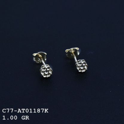 Picture of C77AT01187K