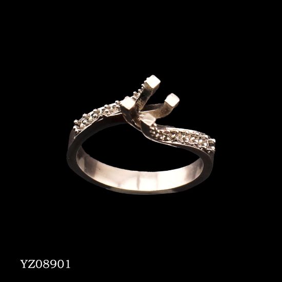 Picture of YZ08901