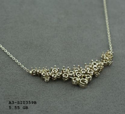Picture of A3SI0359
